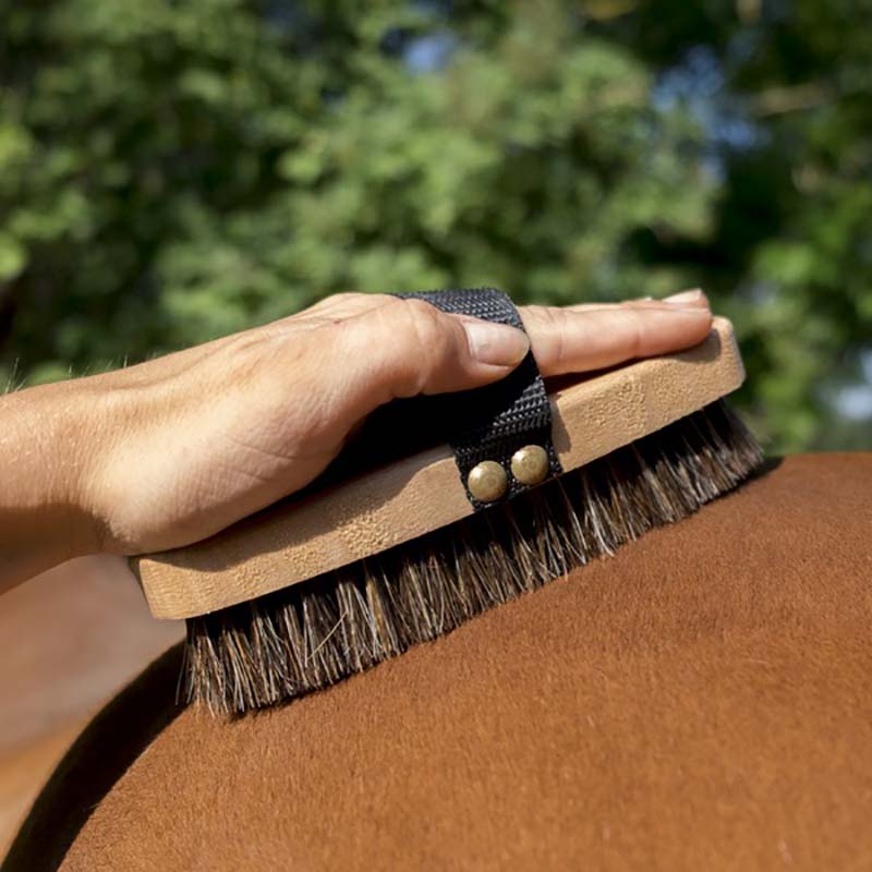 Soft hippotonic grooming brush for horse - 0774