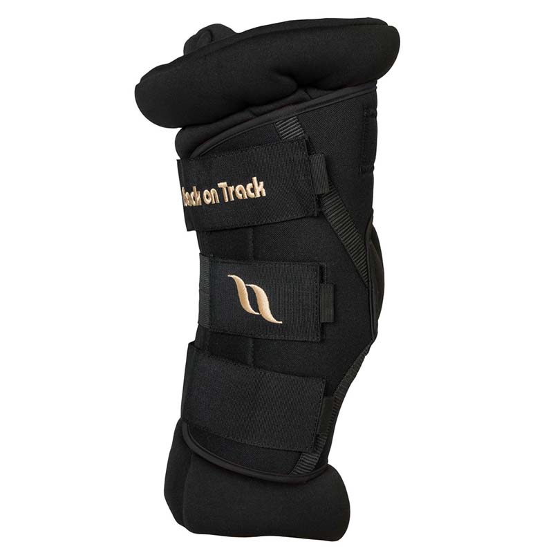 Back on track padded hock boots for rest or transport royal deluxe - 1681
