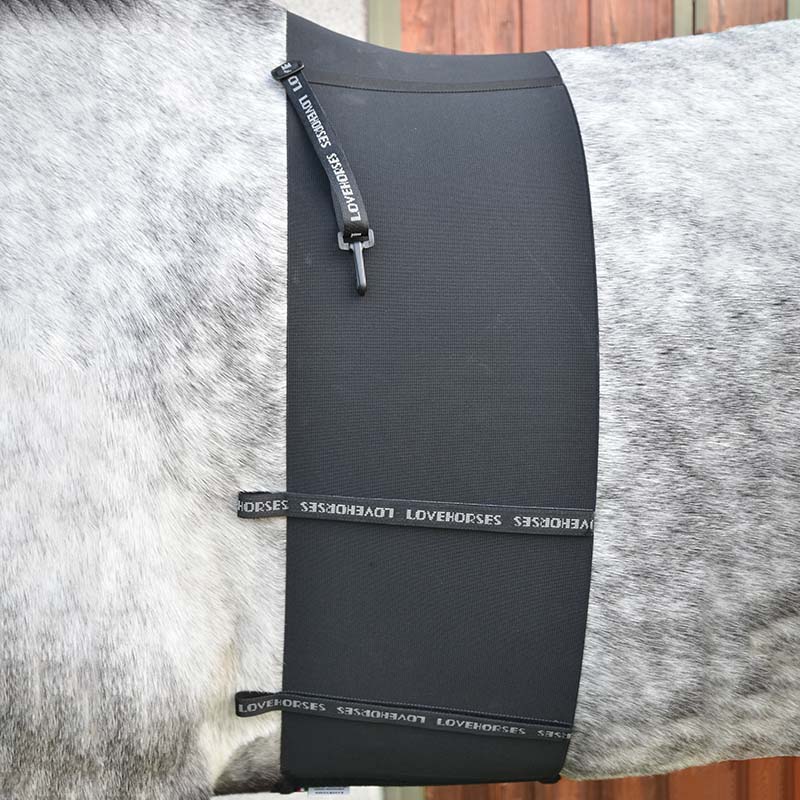 Band of respect Original Deluxe Lovehorses body bandage - 1548