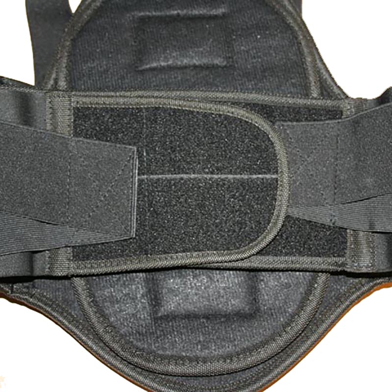 Back protector for adults - 2035