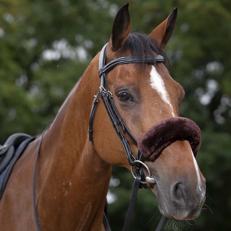 Equitheme synthetic noseband - 2307