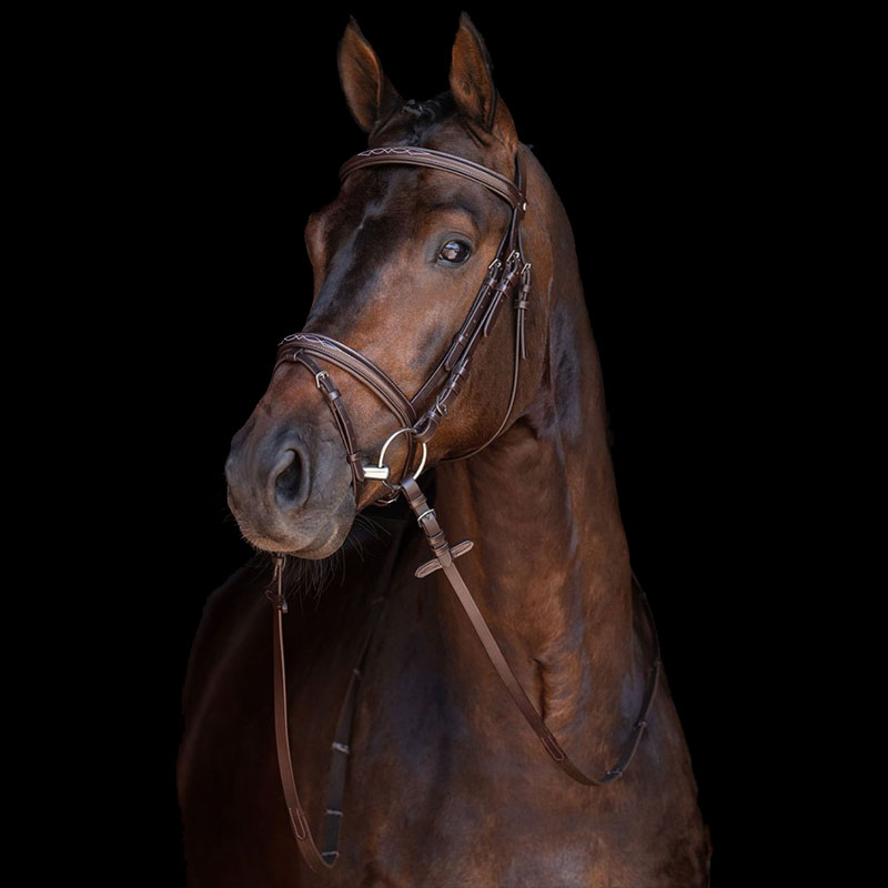 Leather english bridle hkm model jana - 2325