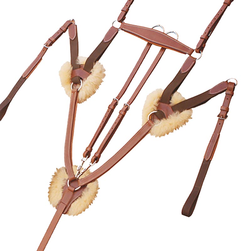Martingale hunting leather brand Equestro - 2663