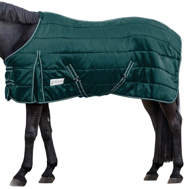 Stable rug 100 gr with thermal padding - 0272