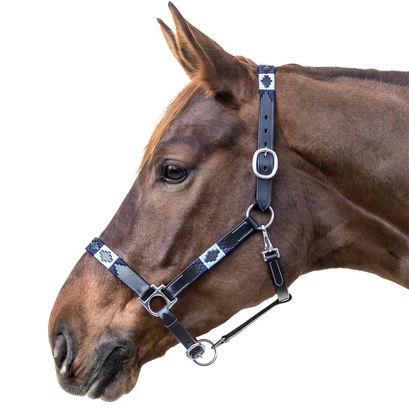 Chukka style halter in leather - 0351