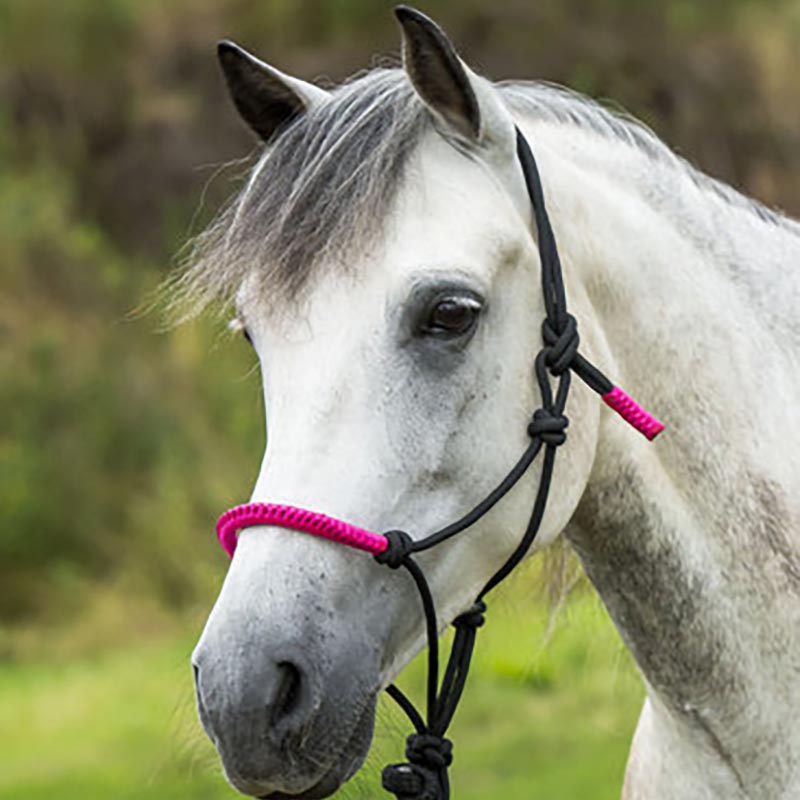 Color knots halter and rope for natural horsemanship - 0341