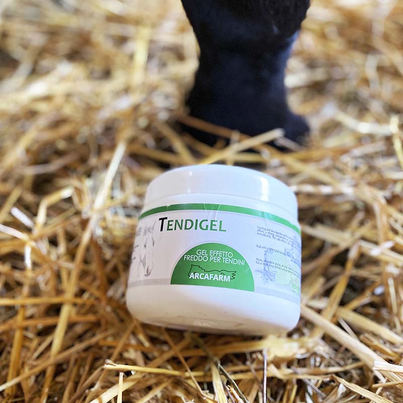 Cooling gel for tendons arcafarm tendigel” - 0807