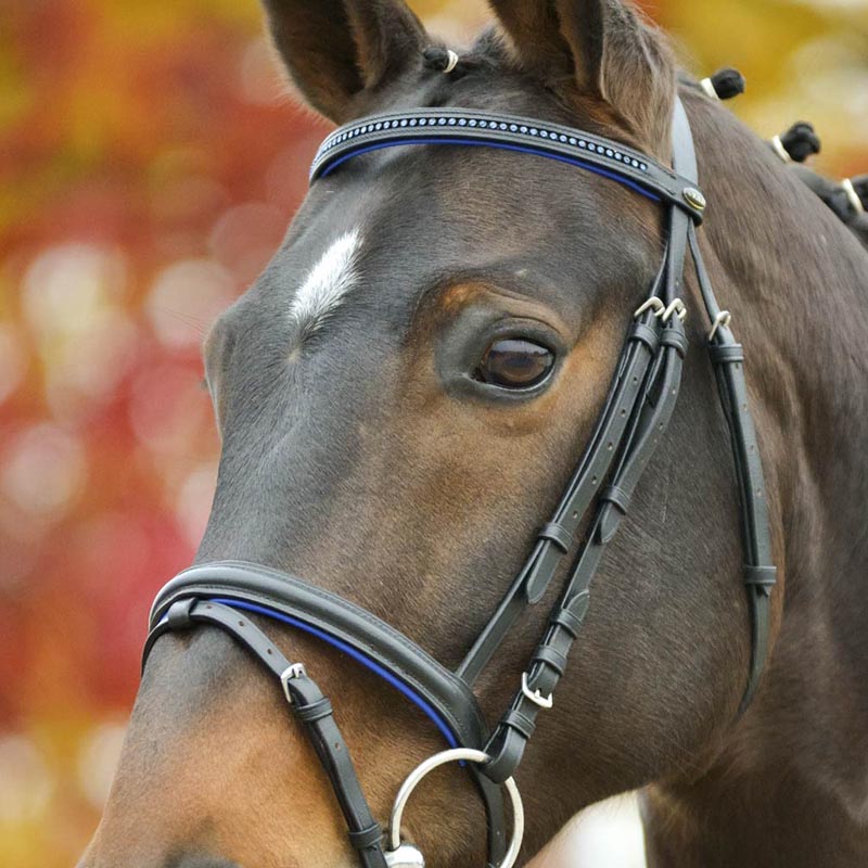 English bridle star diamond with rhinestone various color - 2330