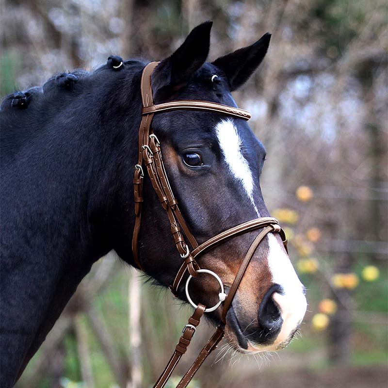 English leather bridle x-line santander - 2334