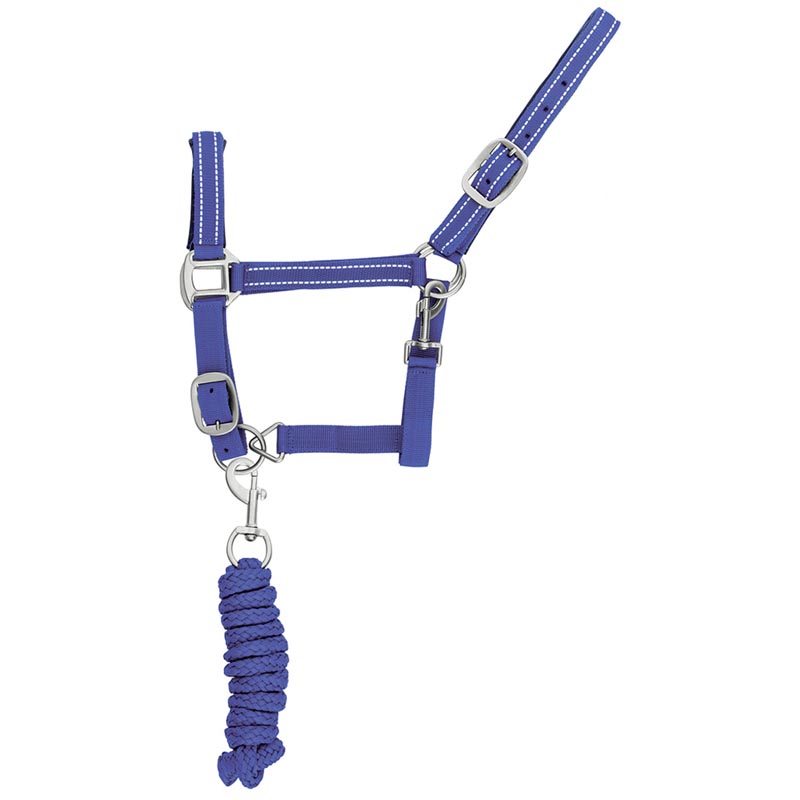 Reflective reinforced nylon halter with lead - 0361