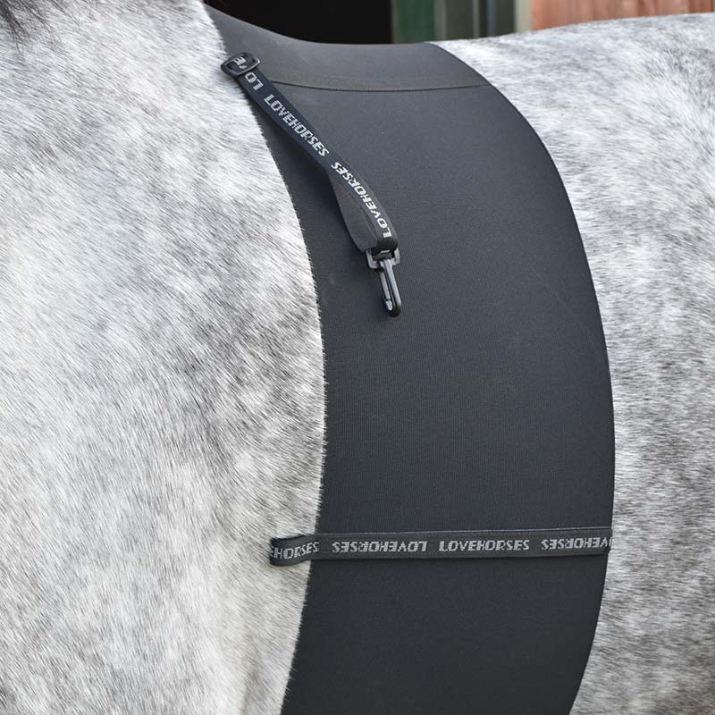 Band of respect Original Deluxe Lovehorses body bandage - 1548