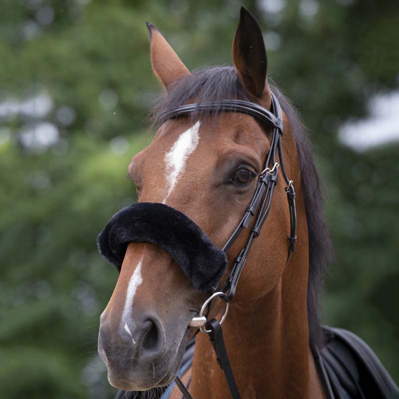 Equitheme synthetic noseband - 2307