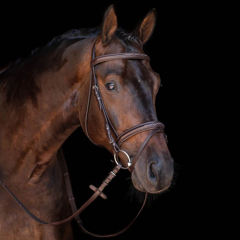 Leather english bridle hkm model jana - 2325