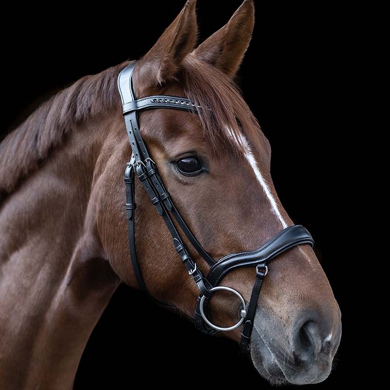 New shape ii x-line leather bridle with rhinestones - 2343