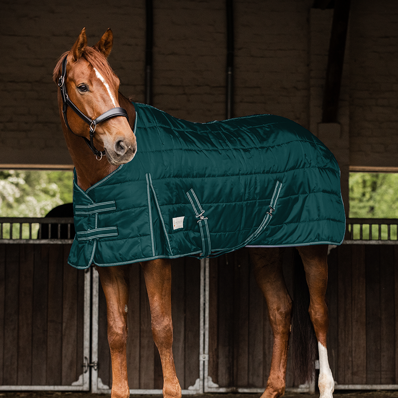 Stable rug 100 gr with thermal padding - 0272