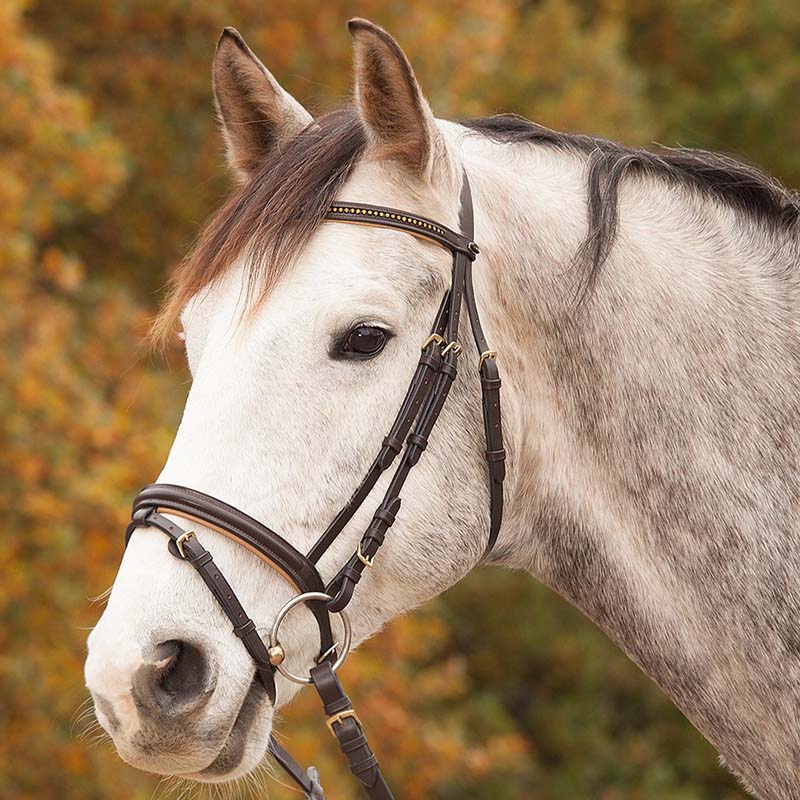 English bridle star diamond with rhinestone various color - 2330