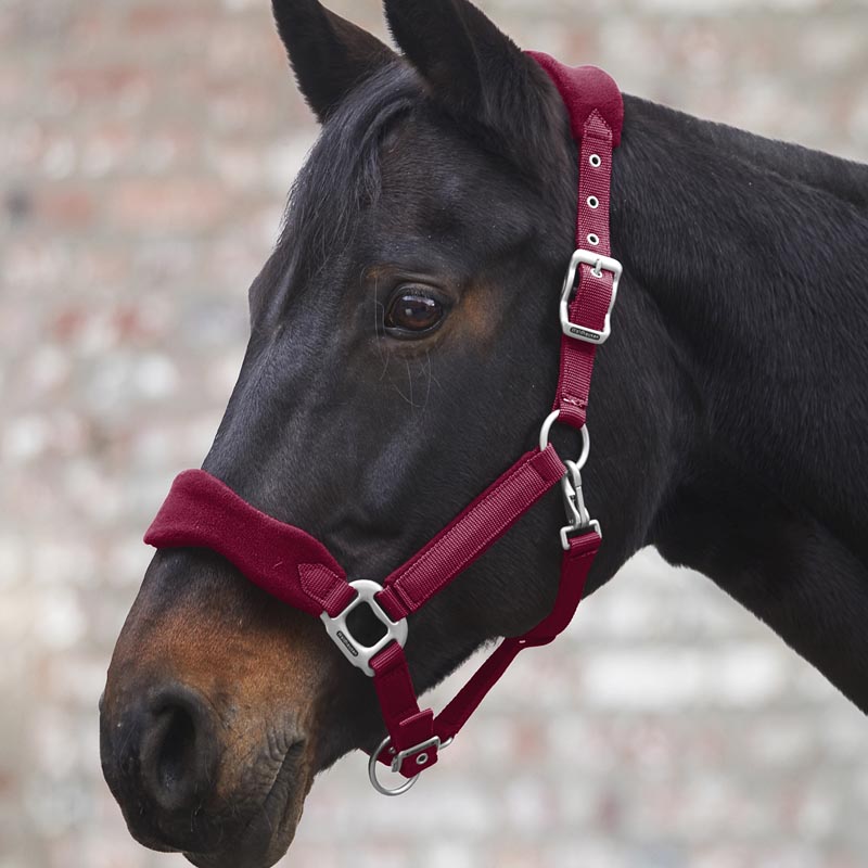 Premium soft halter with cladding - 0329