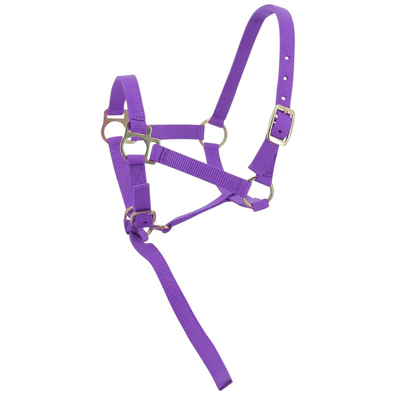 Adjustable halter for colt and foal complete with small rope - 0343