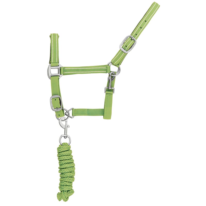 Reflective reinforced nylon halter with lead - 0361