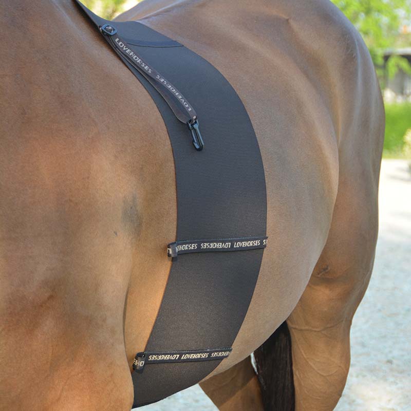Band of respect Original Deluxe Lovehorses body bandage - 1548