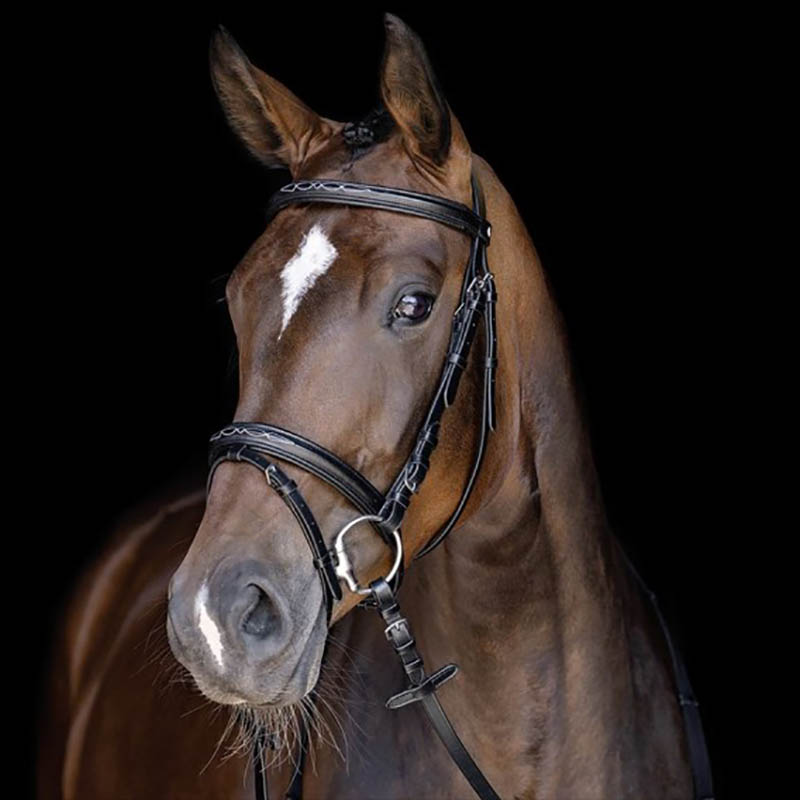 Leather english bridle hkm model jana - 2325