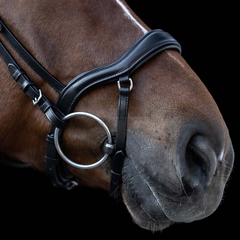 New shape ii x-line leather bridle with rhinestones - 2343