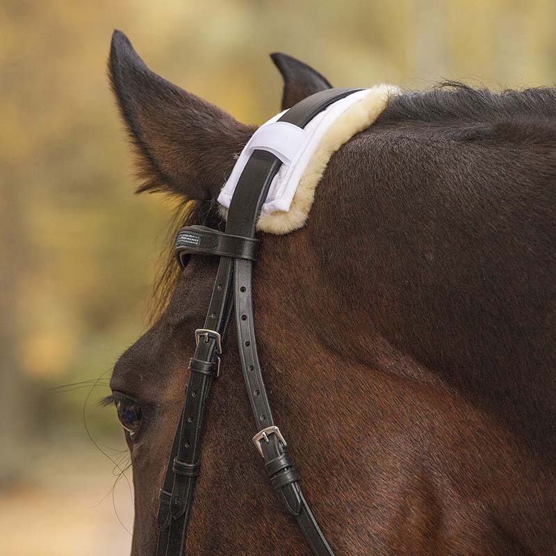 Bridle padding with lamb to cover horse nose and head from 28cm - 2371