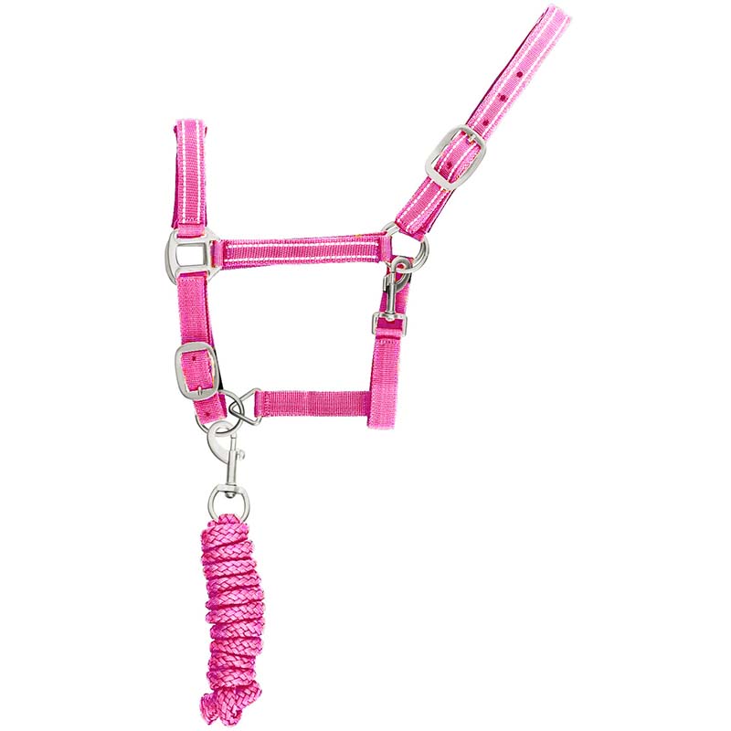 Reflective reinforced nylon halter with lead - 0361