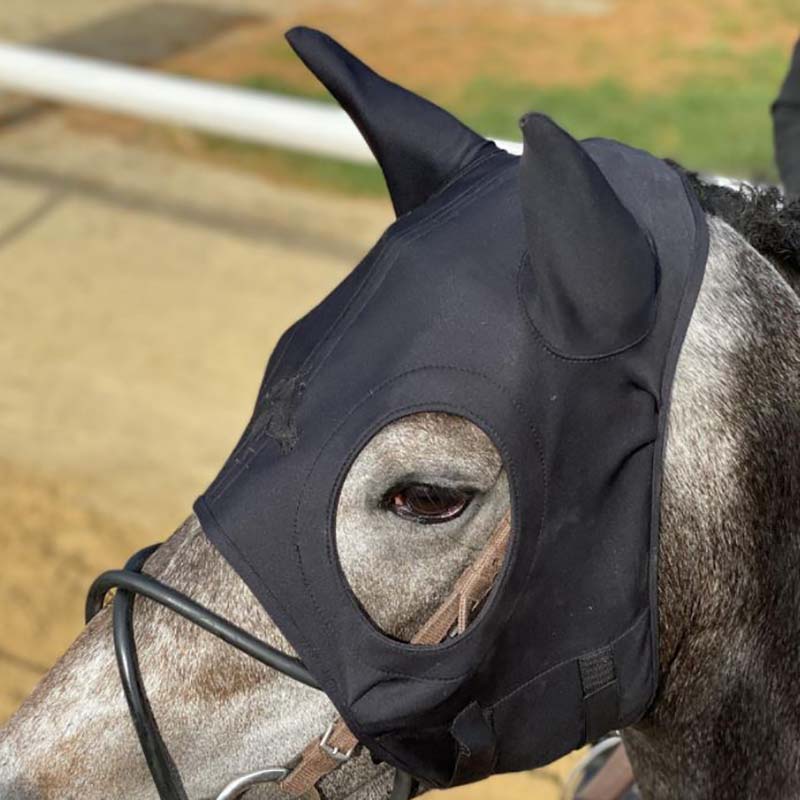 Therapeutic mask for horses fenwick liquid titanium mask - 0619
