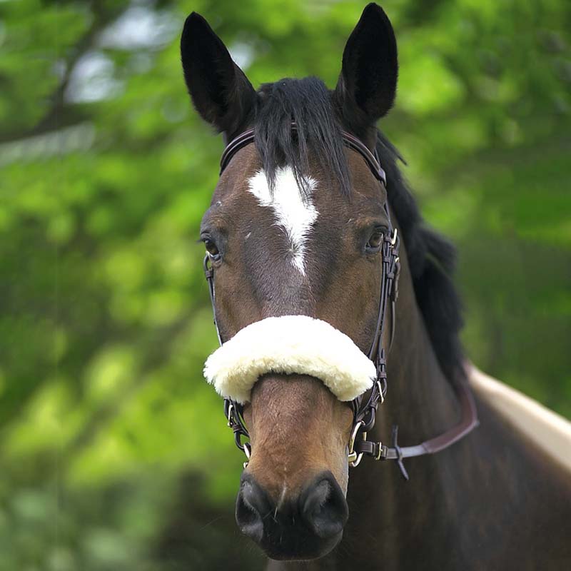 Equitheme synthetic noseband