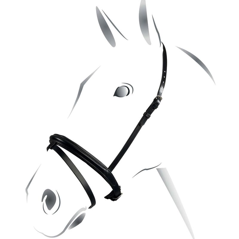 Equestro leather noseband