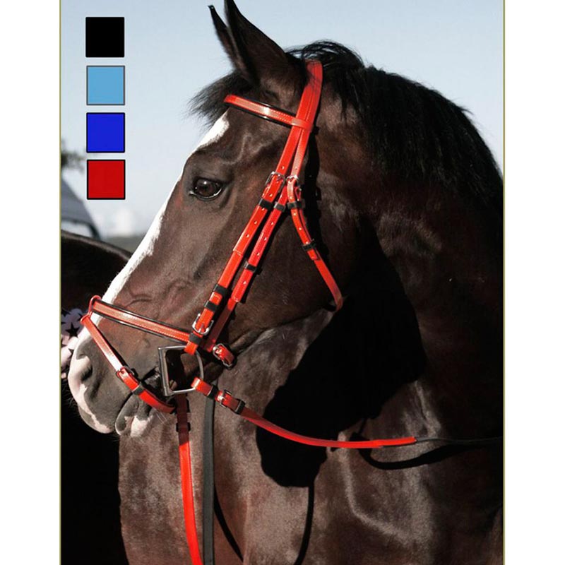 English synthetic bridle coloured with reins