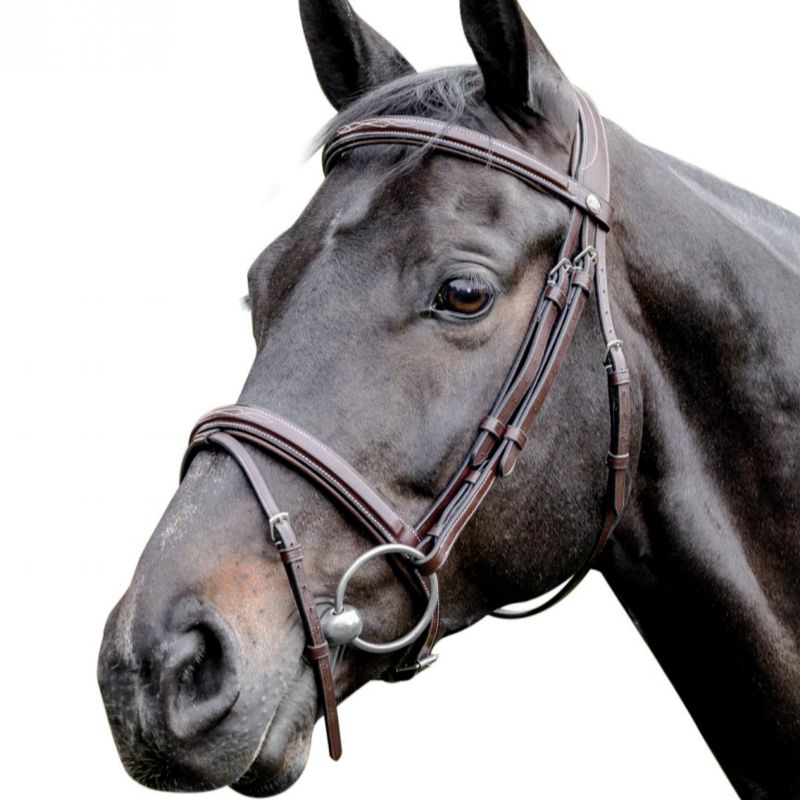Raised leather bridle by prestige with fancy stitching e83