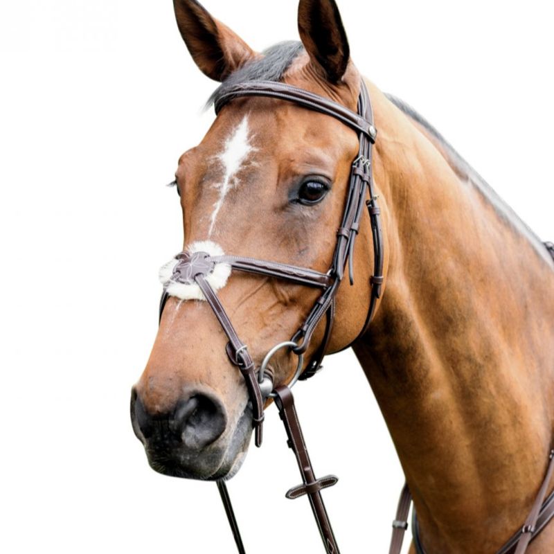 Prestige mexican bridle e80