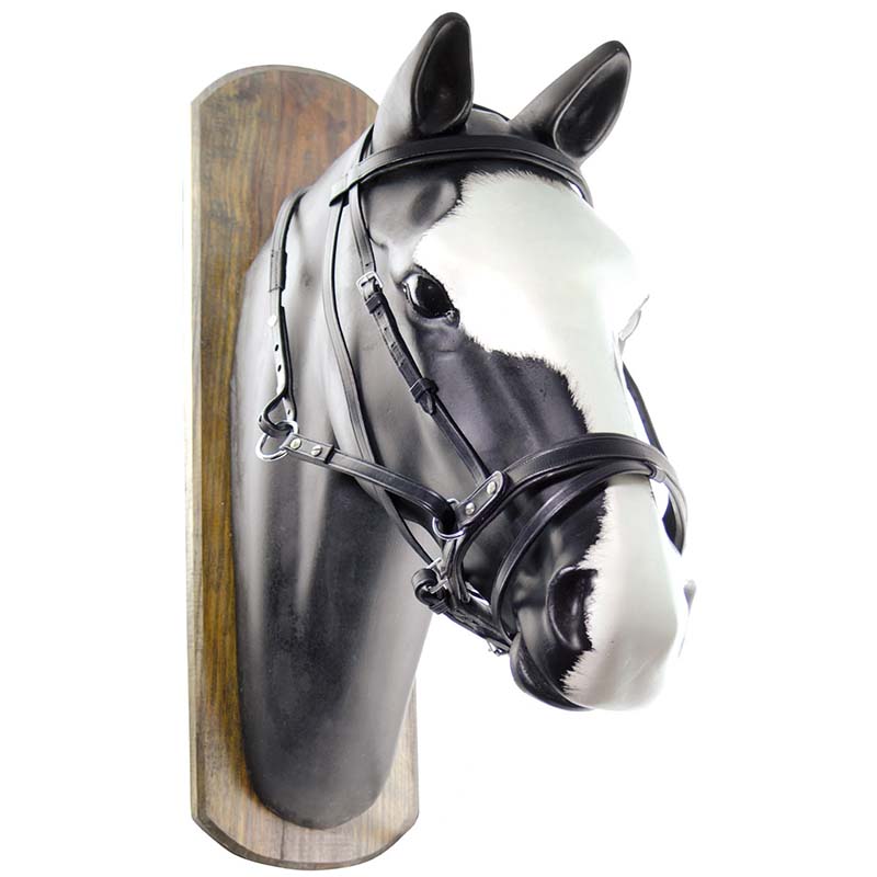 Bitless leather bridle