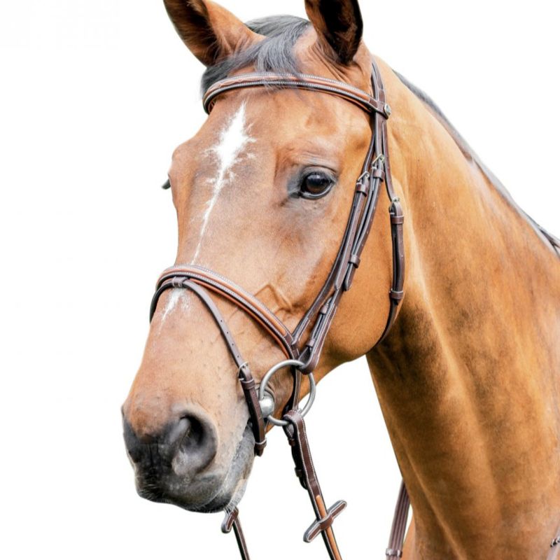 Prestige leather bridle with inserts e87