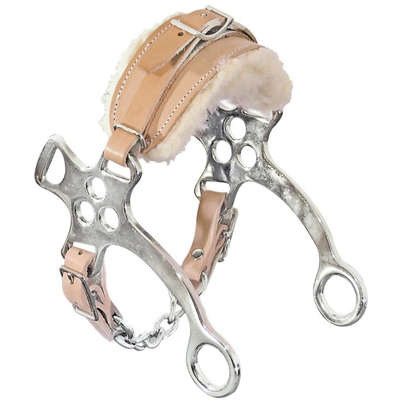 Hackamore bit short cheeks and chain