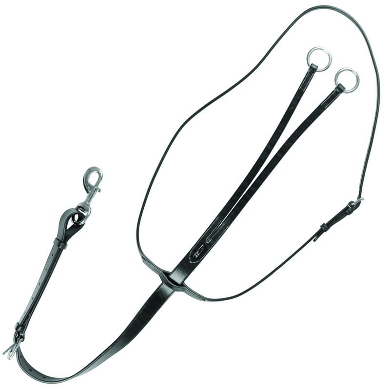 English martingale equestro