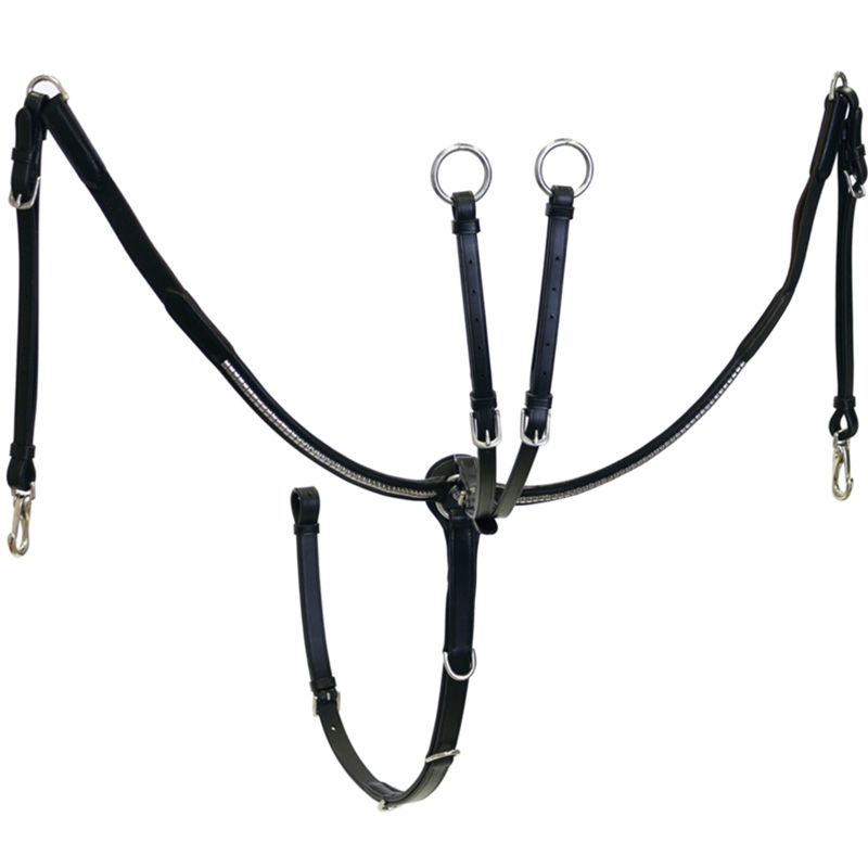 English breastplace winner leather with chrome coatings