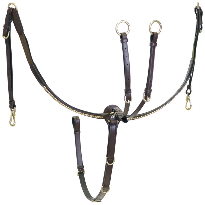 English breastplace winner leather with brass coatings