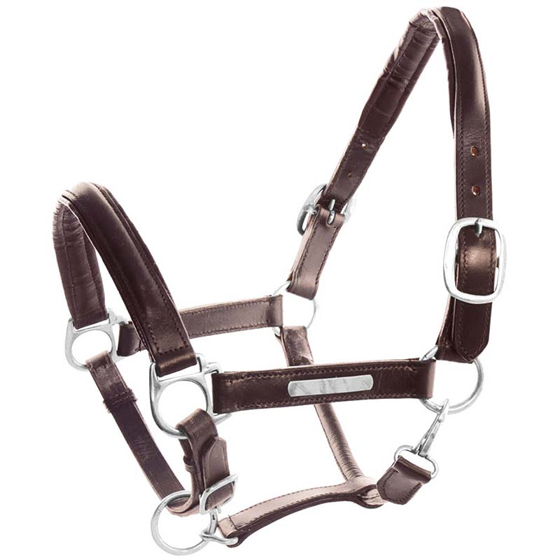 Adjustable rawhide halter