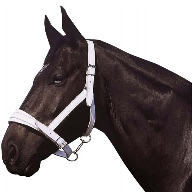White leather halter