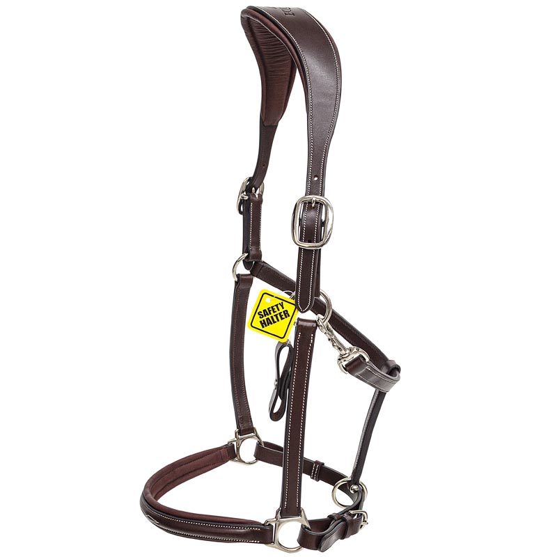 Halter leather equiline saddle division