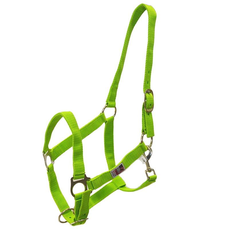 Nylon halter