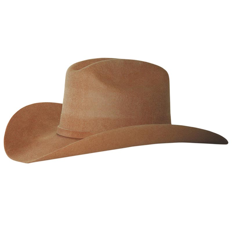 Hard felt hat