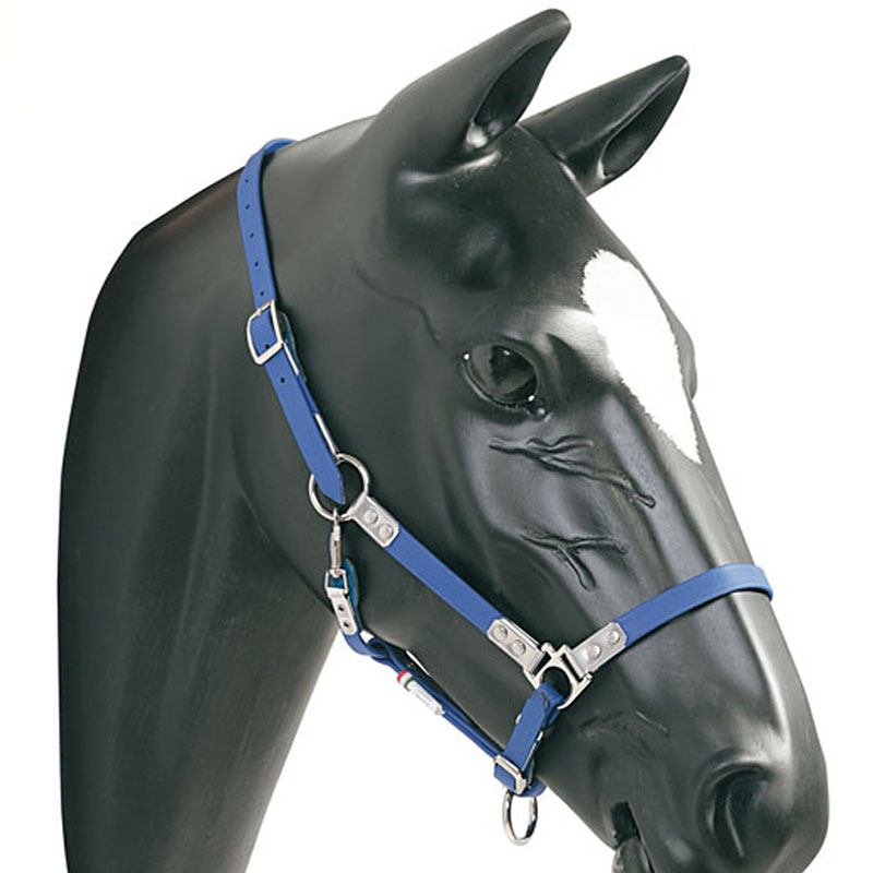 Halter in heavy duty biothane pioneer
