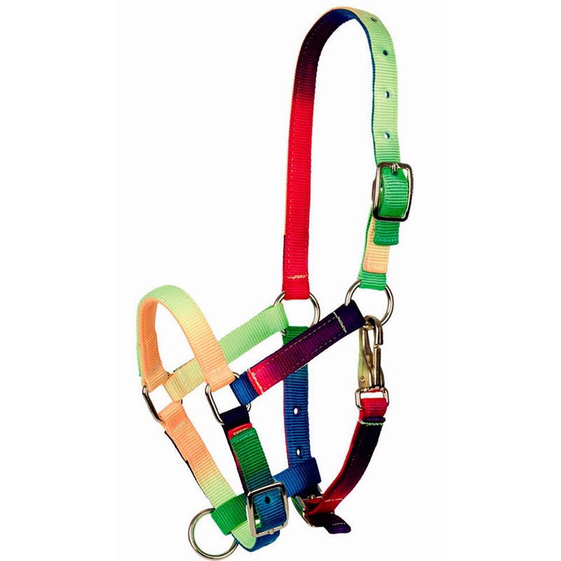 Multicolour nylon halter for foal