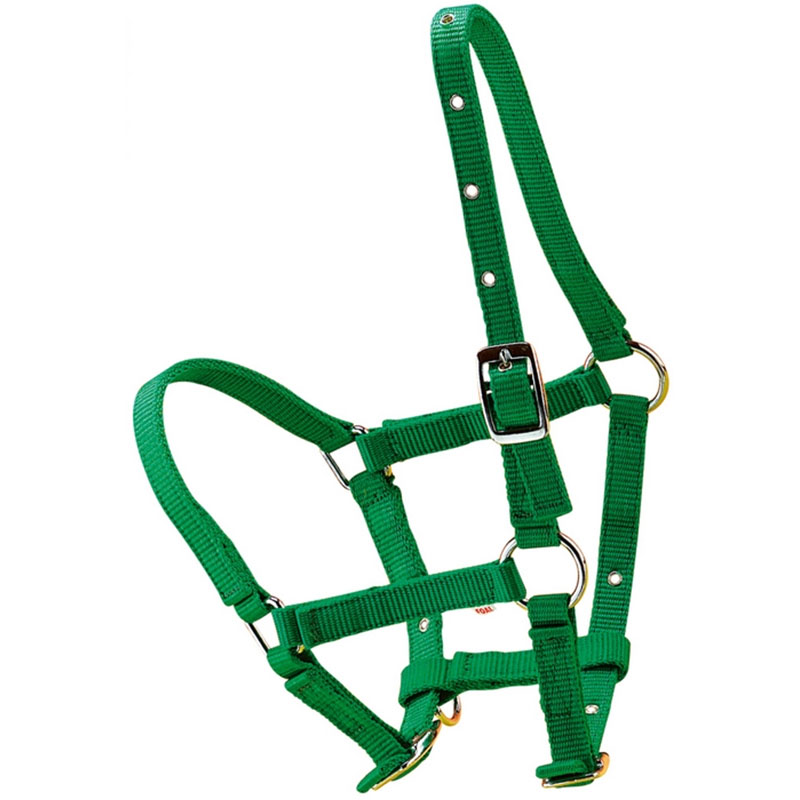 Nylon pony halter