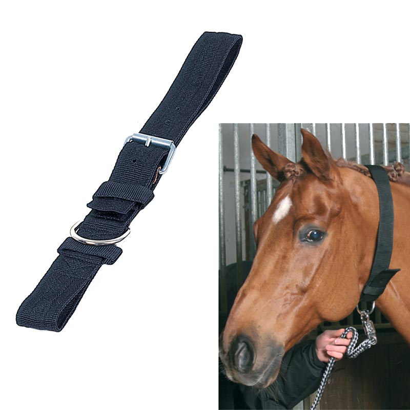 Soft longe hook collar