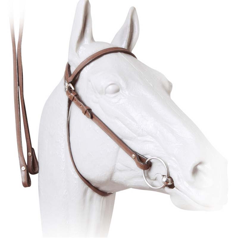 Western smooth leather bridle